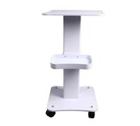FILFEEL Chariot de beauté, Chariot Roulant de Salon à 3 Niveaux avec Roulettes Silencieuses à 360 Degrés et Panier de Rangement, pour Salon de beauté, de Coiffure, Centre de