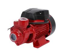 FILFEEL Pompe Centrifuge électrique 35M de Haut, 50L/min, pour Système Domestique, Irrigation de Pelouse, Drainage, Entrée et Sortie NPT en Pouces, 370W, 220V