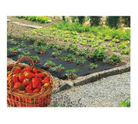 Film PAILLAGE FRAISE - FI PAILLAGE FRAISE 1000 140X20M marque NORTENE