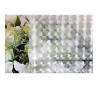 Film décoratif pour vitre vitrostatique Carro - 150 x 45 cm - Transparent