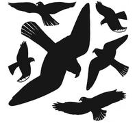 Herma Autocollants d'avertissement pour oiseaux, 6 pièces 30 x 30 cm détachables réutilisables noir