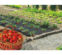 Film PAILLAGE FRAISE - FI PAILLAGE FRAISE 1000 140X20M marque NORTENE