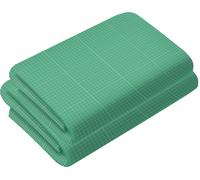 Film tunnel en polyéthylène 140g/m² 2x2x2 m/ 4x3x2 m/ 4,5x3x2/ 6x3x2 m Résistant aux UV Imperméable Film grillagé pour serre de tomates Maison surélevée Vert 23305, Taille:4x3x2m