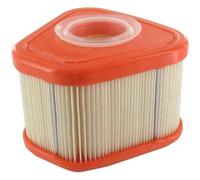 Filtre à air adaptable BRIGGS & STRATTON pour modèles 115P02, 115P05, 123P0B, 123P02, 123P07, 123P32, 125P02 - Remplace : 595853