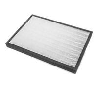 vhbw Filtre combiné 2 en 1 compatible avec le purificateur d'air DeLonghi AC 230 - remplacement du filtre DeLonghi ACF-2 (5513710021) Filtre de remplacement Filtre à air