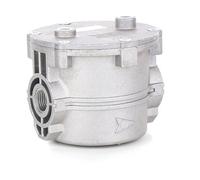 Filtre à gaz TECNOCONTROL GF025, Rp 1"