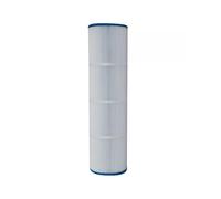 Filtre d’origine Pentair Freeflo R800753 / FFCF200