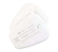 Filtres à particules P2R 3M 5925, lot de 2