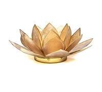 Find Something Different Photophore Lotus en Coquille de Capiz Bleu Clair