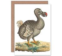 Fine Art Prints Carte de Vœux d'Illustration Vintage Dodo avec Enveloppe Intérieure de Qualité Supérieure