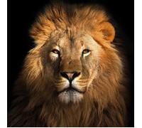 Fine Asianliving Tableau sur Toile sur Verre Acrylique Imprimé Le Roi Lion L 95 x H 95 cm