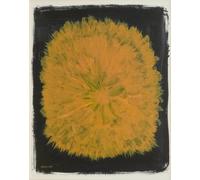 Fine Little Day Poster Dandelion 40x50 cm Jaune-noir