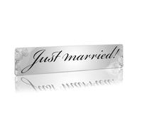 Finest Folia Plaque d'immatriculation de mariage - Insert en plastique pour voiture de mariage - Décoration de voiture de mariage (argenté, 04 Just married)