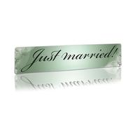 Finest Folia Plaque d'immatriculation de mariage - Insert en plastique pour voiture de mariage - Décoration de voiture de mariage (vert, 04 Just Married)