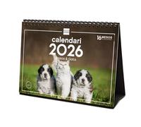 Finocam - Calendrier de bureau 2026 Mois Vue Janvier - Décembre 2026 + Sep.- Déc. 2025 (4 mois) réduits | Calendrier 2026 | Images Chiens et Chats - Catalan
