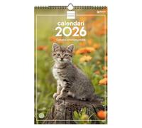 Finocam - Calendrier mural 2026 25 x 40 cm Mois vue janvier - Décembre 2026 + Sep.- Déc. 2025 (4 mois) réduits | Calendrier 2026 | Images Chatons - Catalan