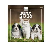 Finocam - Calendrier mural 2026, 30 x 30 cm, vue mois janvier - décembre 2026 + sept. - Déc. 2025 (4 mois) réduits | Calendrier 2026 | Images Chiens et Chats - Catalan