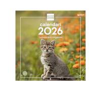 Finocam - Calendrier mural 2026, 30 x 30 cm, vue mois janvier - décembre 2026 + sept. - Déc. 2025 (4 mois) réduits | Calendrier 2026 | Images Chatons - Catalan