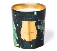 Fir Bougie Parfumée Sapin de Noël 270 g 270g