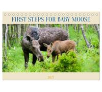 FIRST STEPS FOR BABY MOOSE (Desk Calendar 2027 DIN A5 landscape), CALVENDO 12 Month DeskCalendar: Mother moose protects her baby as he takes his first steps in the forest