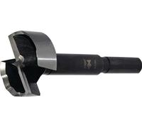 FISCH-TOOLS Mèche à bois (Ø 68 mm longueur totale 90 mm / Ø de tige 10 mm) - 031BS06800