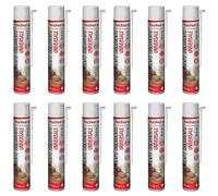 Fischer 12 pièces mousse polyuréthane PU 1K 750 ml, universelle, utilisation manuelle