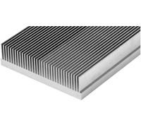 Fischer Elektronik 10136830 KGR 1 150 AL Dissipateur à lamelles 1.55 K/W (L x l x H) 150 x 100 x 38 mm