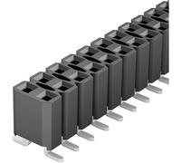 Fischer Elektronik Barrette femelle (standard) Nbr de rangées: 2 Nombre de pôles par rangée: 20 10027119 1 pc(s)