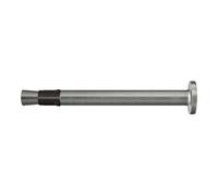 fischer fischer Ancrage de clou FNA II 6x30/30 R RB Quantité:200