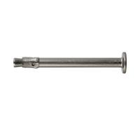 fischer fischer Cheville à frapper FNA II 6 x 30/30 R en acier inoxydable A4 Quantité:50