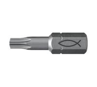 fischer fischer Embout acier 10x FPB T 10 Quantité:1