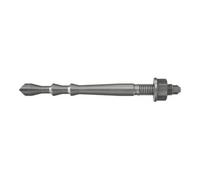 fischer fischer Highbond Anchor FHB II-A L M16x145/30 A4 Quantité:10