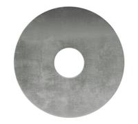 fischer fischer Rondelle U 30x1,5x7,5 A4 Quantité:100