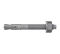 fischer - Goujon FBN II 10/30 en acier galvanisé à chaud/Boîte de 50