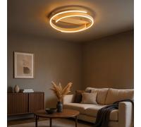 Fischer & Honsel Circly Plafonnier, LED, 21568,