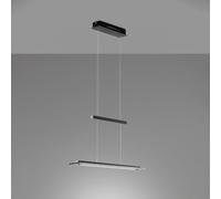 Fischer & Honsel Function Suspension LED, 60992,