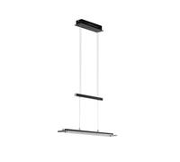 Fischer&Honsel Tenso TW Suspension en métal, 12 W, noir sable