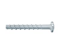 fischer Vis à béton fischer UltraCut FBS II 6x30/5 P à tête cylindrique bombée, acier électrozingué Quantité:100