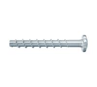 fischer Vis à béton UltraCut FBS II 6x80/25 P – cylindrique bombée, acier électrozingué – x100