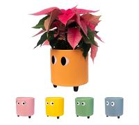 fisura. - Pot de Fleurs Original avec Motif d'œil. Pot de Fleurs et de Plante décoratif. Jardinière décorative d'intérieur. Pot en céramique Orange pour Fleurs et Plantes grasses.13 x 12,5 cm.