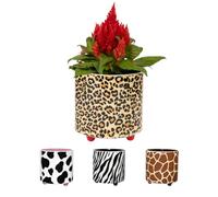 Fisura - Pot décoratif léopard Original en céramique. Cache-Pot intérieur sur Pieds pour Cactus, Plantes Grasses ou Fleuries. Taille : 13 cm x 12,5 cm.