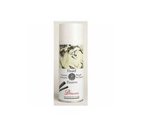 - Fixateur pour peinture - vaporiser - pour charbon de bois - 400 ml