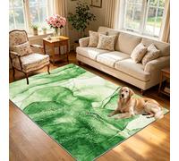 Fjhaeuo Tapis de Salon Lavable en Machine Tapis Chambre Antidérapant Grand pour Chambre d'enfant, Chambre d'amis, Salle à Manger, Bureau à Domicile, Chambre 60 x 110 cm Vert