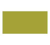 Flacon De 500ml Amsterdam Acrylique Couleur Feu Vert Olive