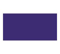 Amsterdam Standard Series Acrylique Pot 500 ml Outremer Violet 507 (17725072)