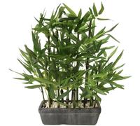 Flair Flower Bambou Artificiel dans Un Bol avec Pierres décoratives Plante de citronnelle Plante Artificielle Plante Verte Plante en Pot Plante d'intérieur Plante d'intérieur, Vert 41 cm