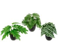 Flair Flower Lot de 3 Mini Plantes en Pot Monstera - Plantes artificielles en Pot - Plantes en Pot - Plantes d'intérieur - Fleurs artificielles - Décoration en Soie