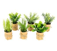 Flair Flower Lot de 6 Mini Herbes artificielles dans Un Pot en Papier - Eucalyptus, romarin, épinards, thym, Basilic, poireaux, grais, Herbes de Jardin - Décoration pour Cuisine, Salon, 12 x 8 x 8 cm