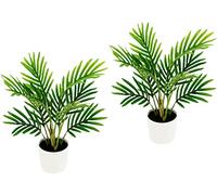 Flair Flower Phoenix Mini Plante Artificielle Tropicale avec Pot en Plastique, Plante Verte, Palmier Areca, Palmier Artificiel pour Bureau, Maison, Salon, hôtel, 30 cm