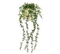 Flair Flower Plante Artificielle Senecio - Plante Suspendue - Plante succulente - Décoration Murale - Plante Artificielle - Plante Artificielle - Plante Verte - Plante d'intérieur - Guirlande